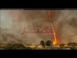 ارشفية