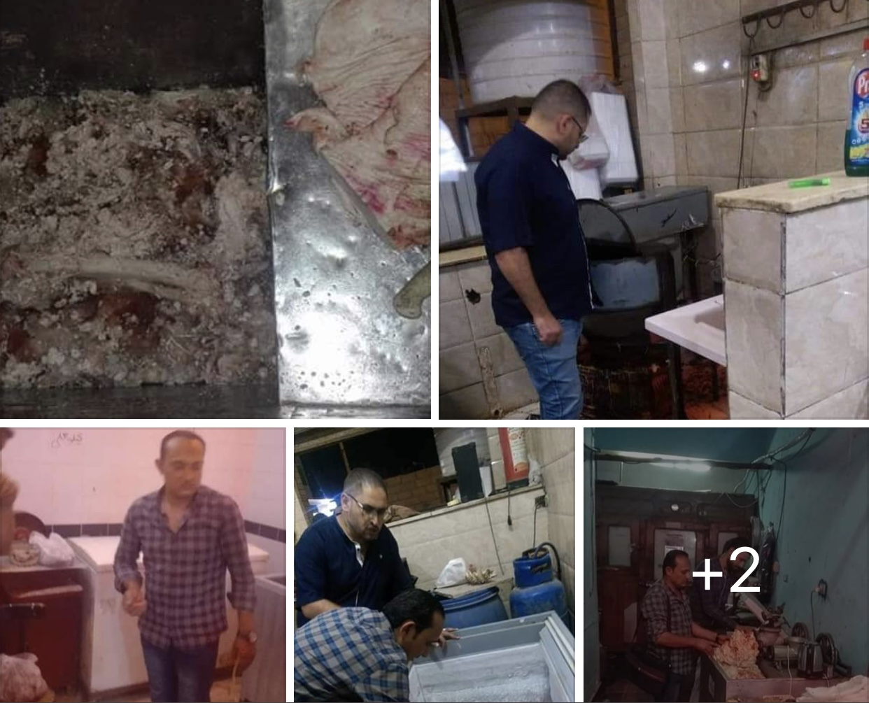 ضبط وإعدام نصف طن لحوم فاسدة بجنوب سيناء